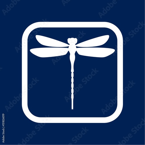 Dragonfly insect 