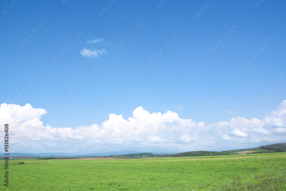 緑の草原と青空 緑の草原と青空