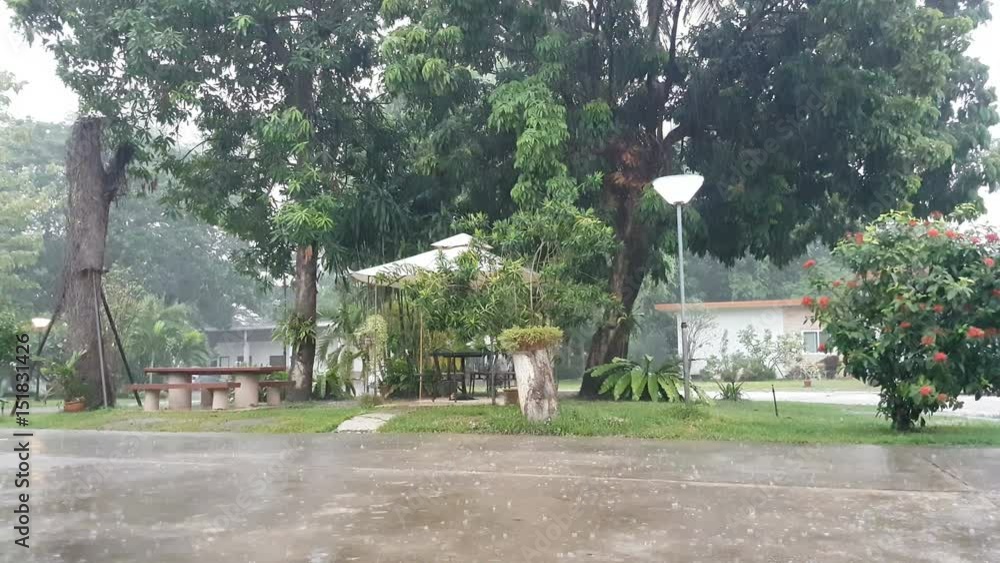 rain on the garden with modern hut rain on the garden with modern hut