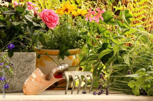 Summer garden, Sommergarten, Gartenarbeit, Sommerblumen mit einer Gartenschaufel und einem kleinen Handrechen als Symbole für Gartenarbeit