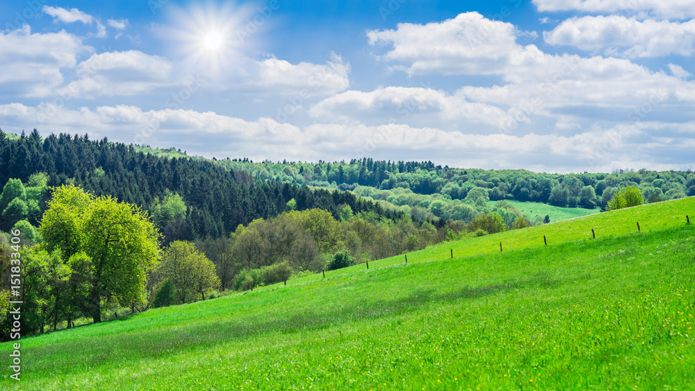 Deutschland Saarland Landschaft mit Viehweide und Mischwald im Frühling bei 66646 Marpingen unter strahlender Sonne 