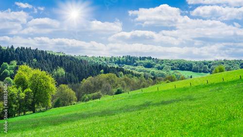 Deutschland Saarland Landschaft mit Viehweide und Mischwald im Fr  hling bei 66646 Marpingen unter strahlender Sonne 