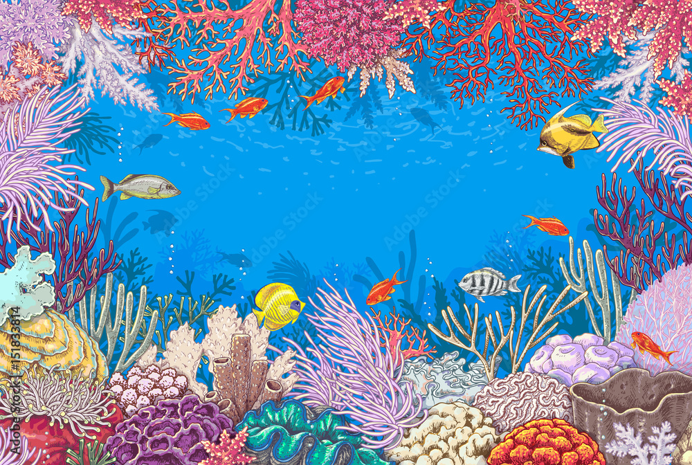 Fototapeta premium Podwodne tło z koralowcami i rybami