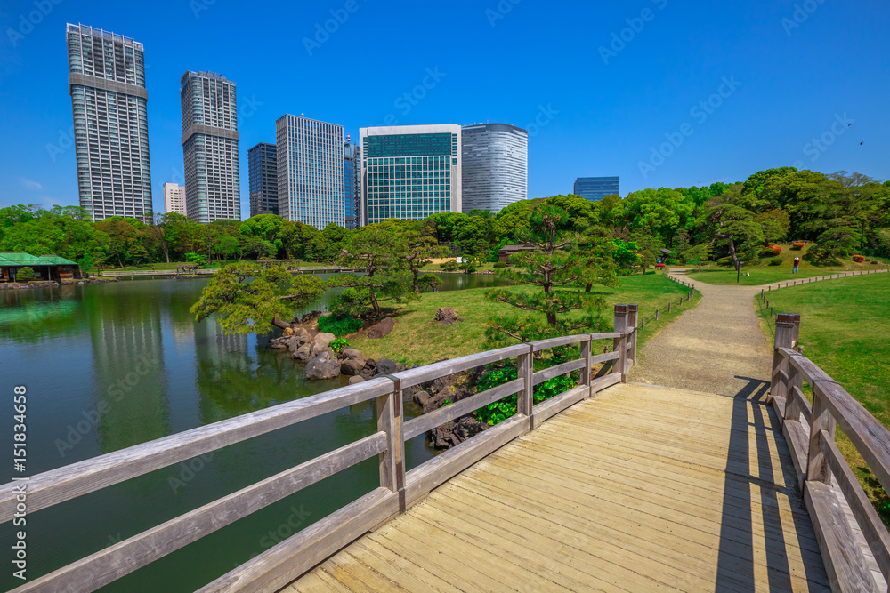 Wooden path in Hamarikyu Gardens with buildings of Shiodome-Shimbashi District on background. Hama Rikyu is a large beautiful landscape garden in Chuo district, Sumida River, Tokyo, Japan.
