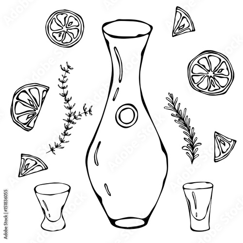 Decanter for Wine Oil or Water. Sketch With Citrus and Herbs. Drink Time Hand Drawn Vector Illustration.