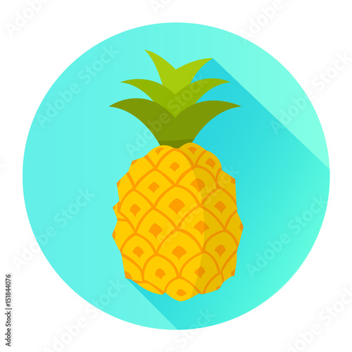 Ananas Icon Flat Design Vektor Grafik Illustration