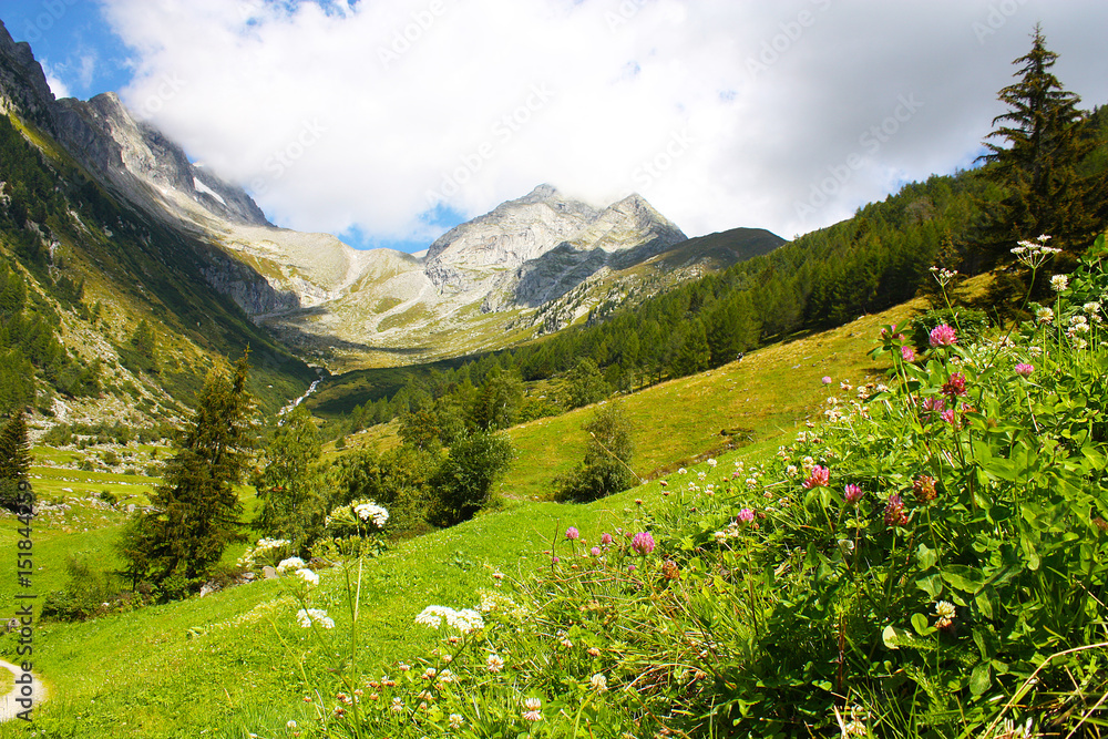 Naklejka premium valle aurina 13