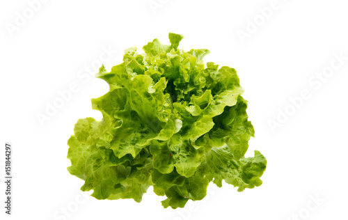 Lettuce leaves