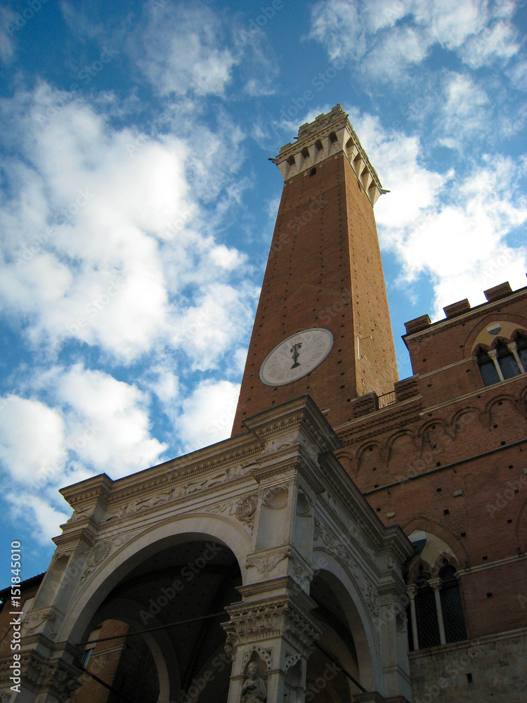 Central Tower in the Piazza del Campo in Siena, Italy