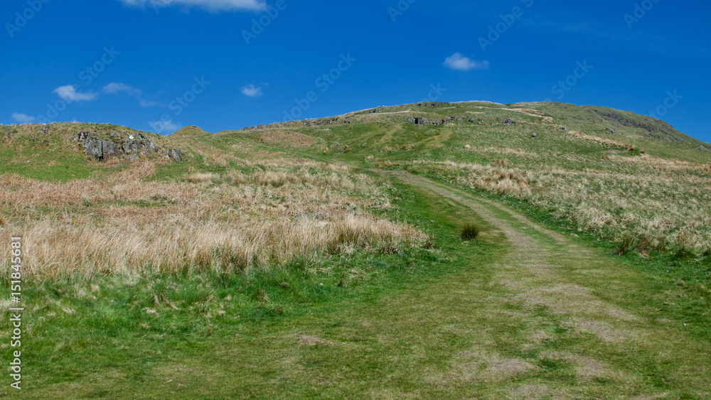 Country track leading up hillside with blue sky and wispy clouds.