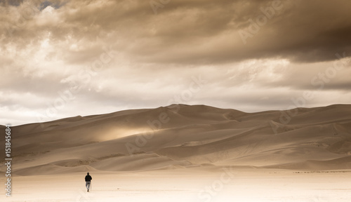 Sand Dune Walker (2231) 10-6-16