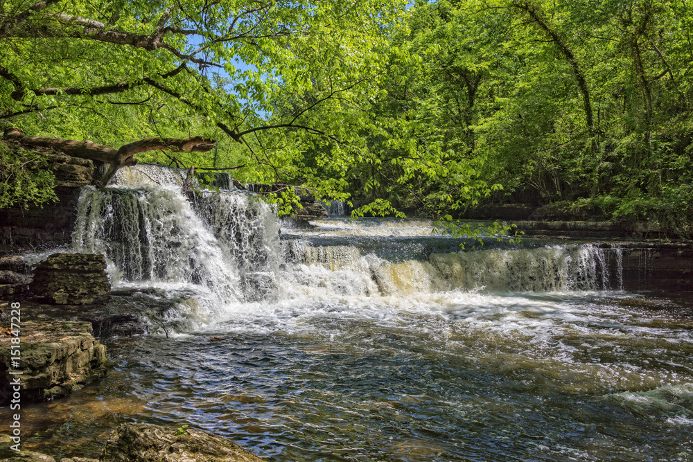 Obraz premium Step Falls At Old Stone State Park In Tennessee