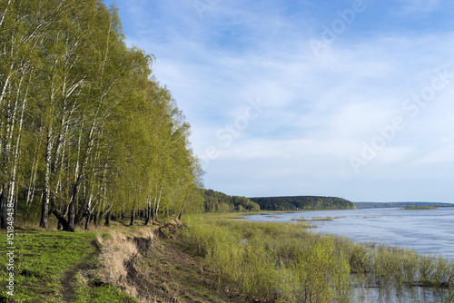 Spring forest on the shore of a deep river
