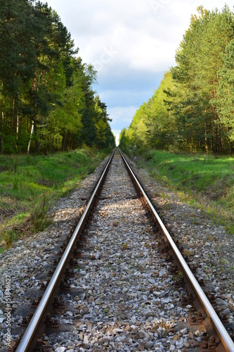 Fototapeta Naklejka Na Ścianę i Meble -  tory kolejowe w lesie
