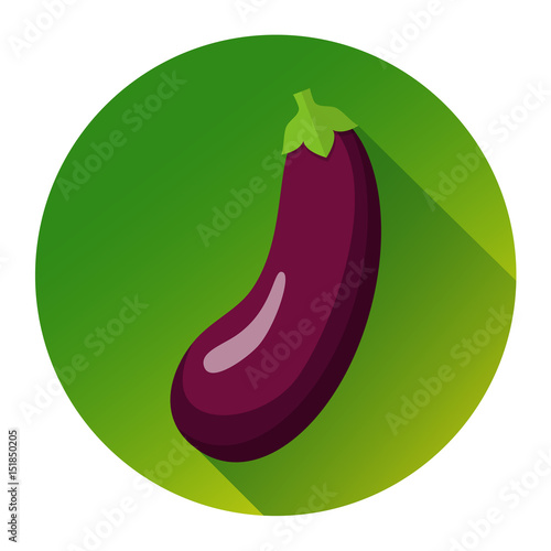 Aubergine Icon Flat Design Vektor Grafik Illustration