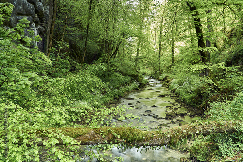  Kaltbrunnental bei Grellingen BL