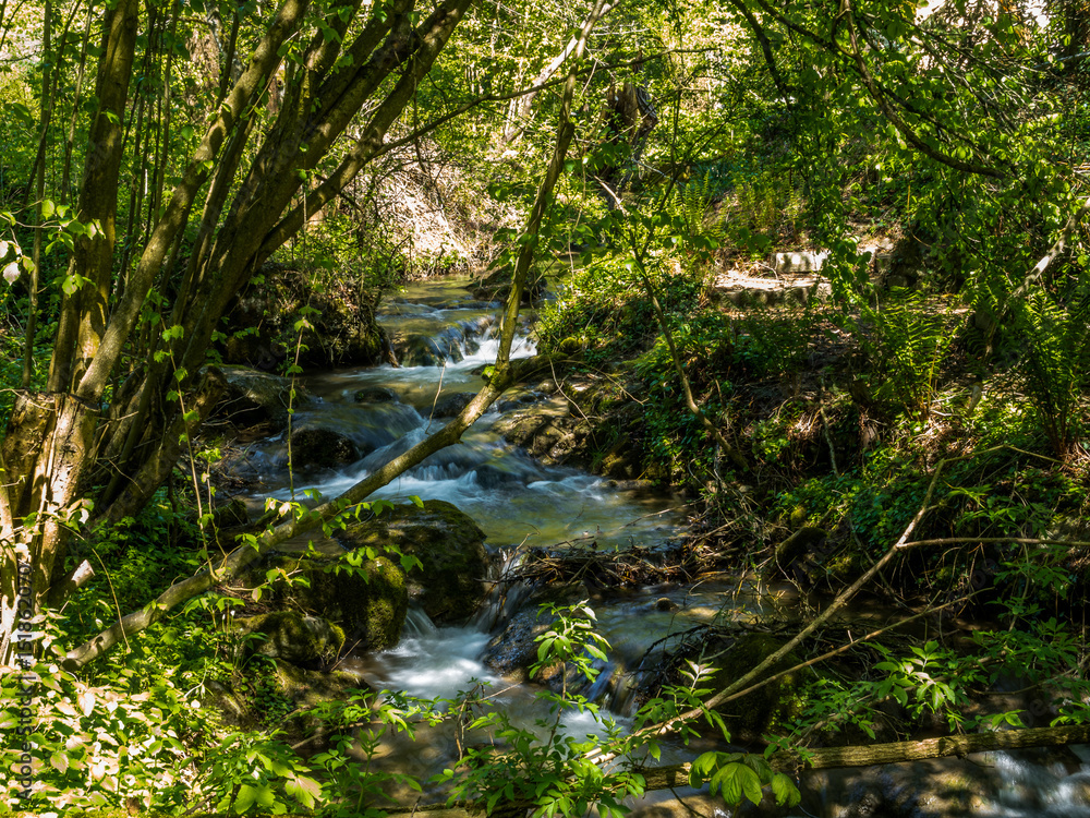 A secluded creek flowing wildly in the Swiss Alps A secluded creek flowing wildly in the Swiss Alps