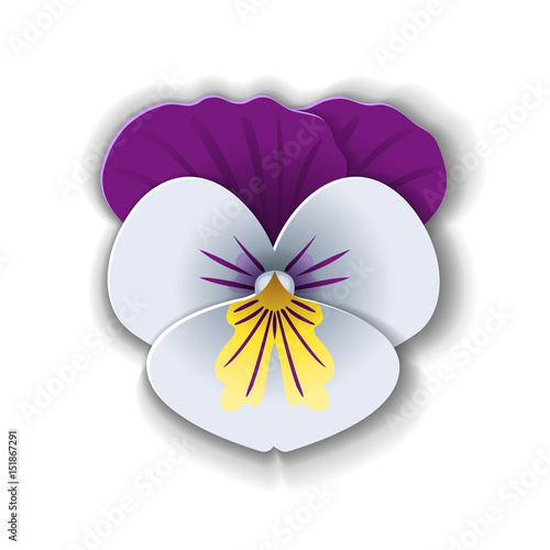 Paper art pansy.