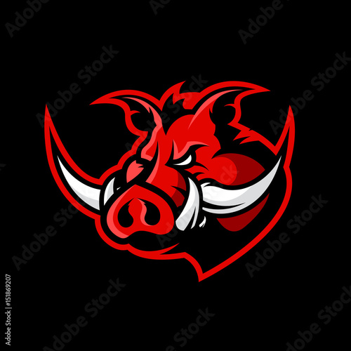 Furious boar head sport club vector logo concept isolated on black background