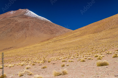 Landscape of bolivian Altiplano