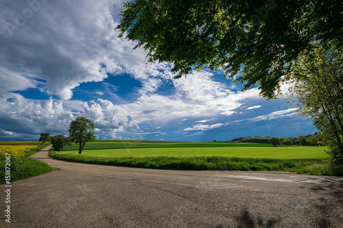 Wallpaper Mural The street in the fields Torontodigital.ca