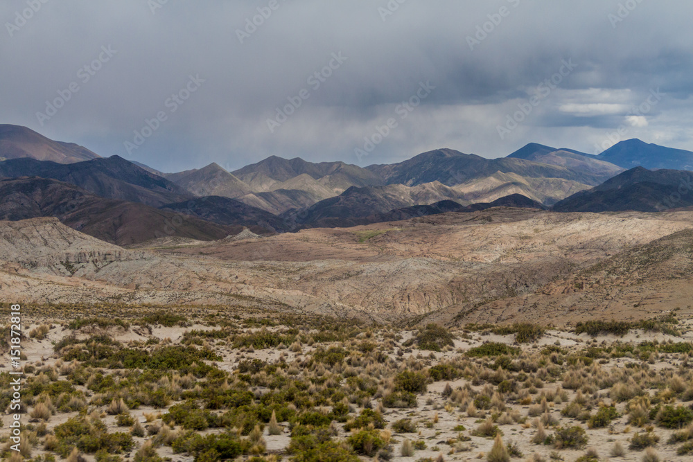 Landscape of bolivian altiplano