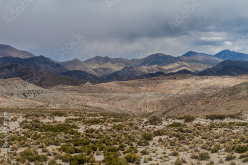Landscape of bolivian altiplano © Matyas Rehak