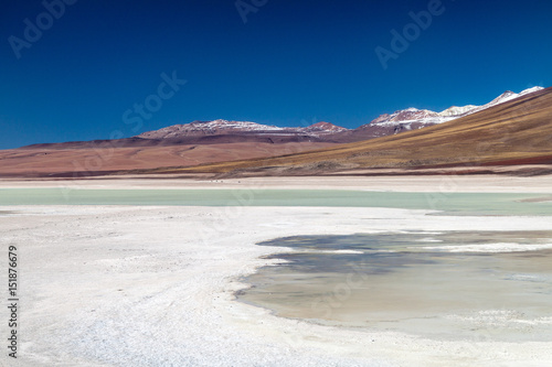 Laguna Blanca lake in Reserva Nacional de Fauna Andina Eduardo Avaroa protected area, Bolivia