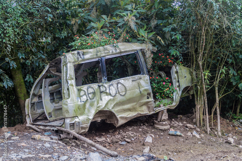 Old car wreck near Coroico, Bolivia