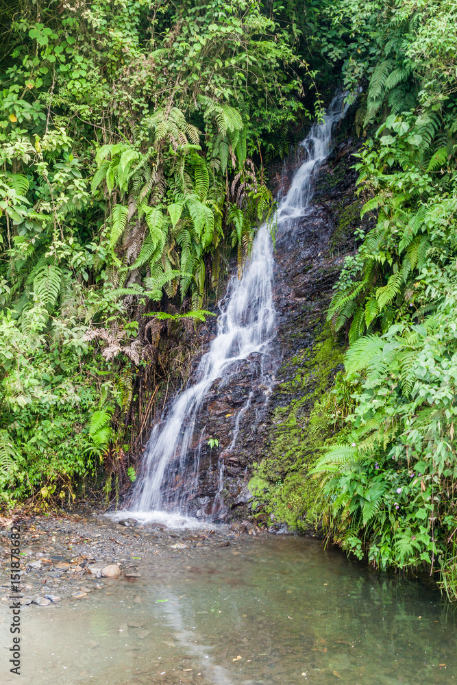 Fototapeta premium Waterfall near Coroico in Yungas mountains, Bolivia