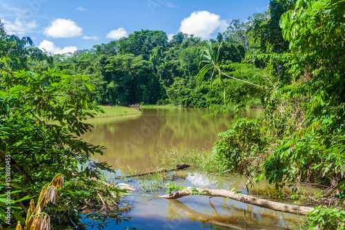 River in a jungle of Madidi National Park, Bolivia photo