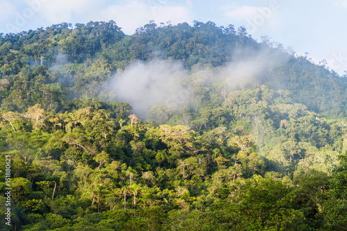 Dawn in a bolivian jungle