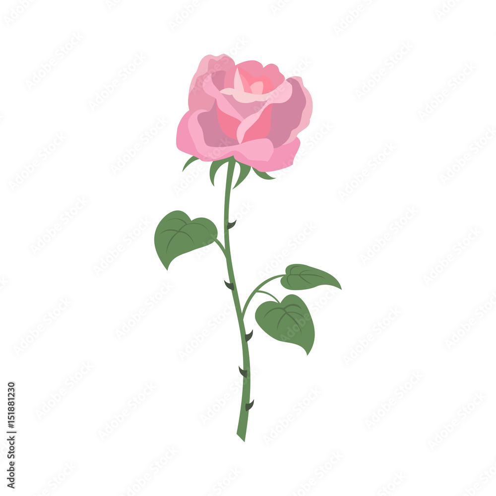 Rose icon on the white background for your design. Rose icon on the white background for your design.