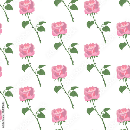 Seamless pattern with roses on the white background.