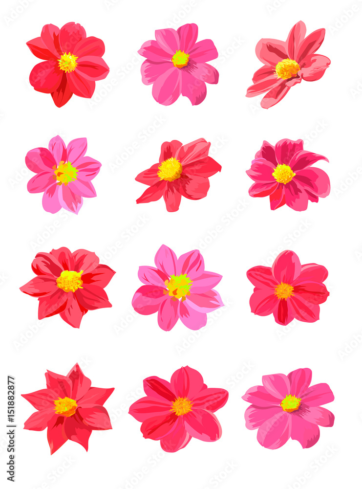 set of red and pink flowers