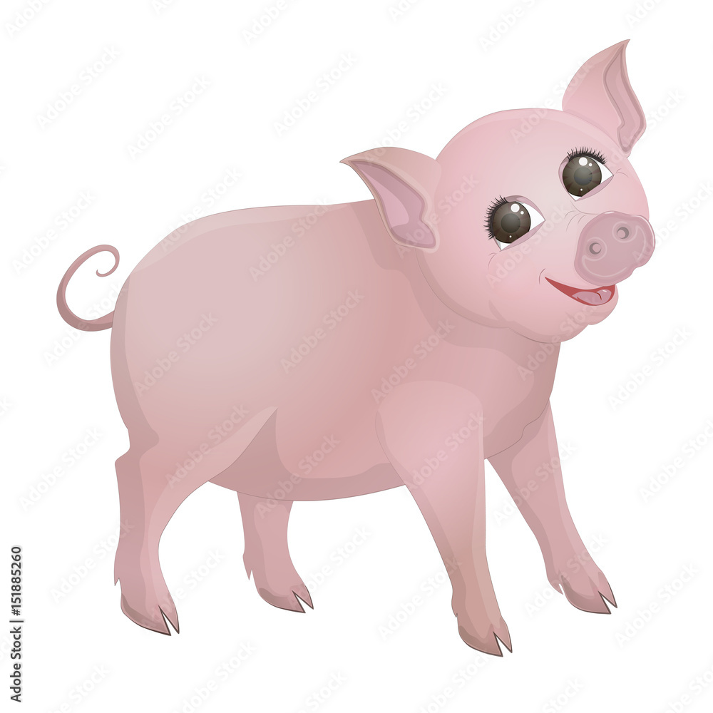pig pig