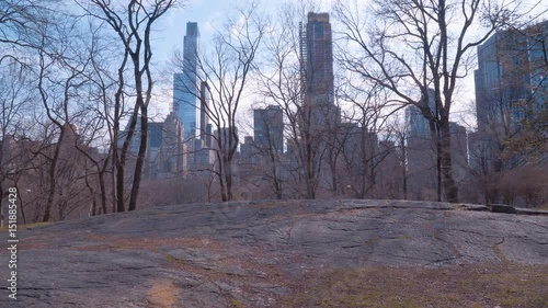 View from Central Park over the skyscrapers of Manhattan
