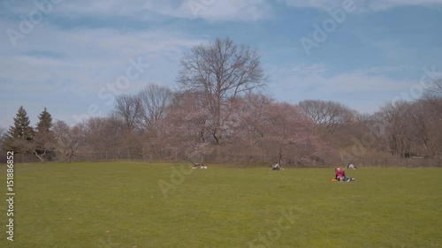 Beautiful meadows and nature at Central Park New York