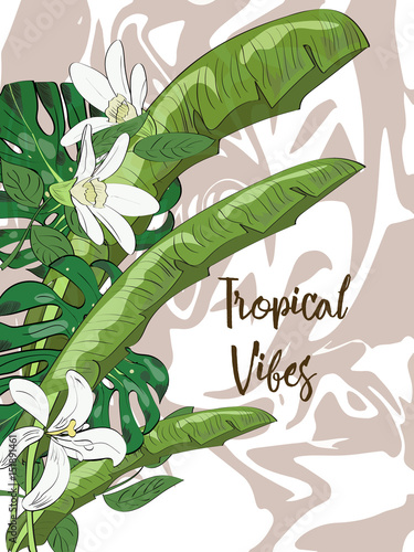 Tropical summer collection of hand drawn exotic leaves. Vector illustration.