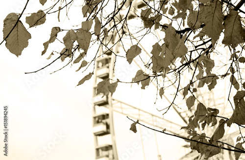 Autumn in Paris. Branches with faded leaves and ferris wheel silhouette at background. Selective focus on the leaves. Aged photo. Sepia. photo