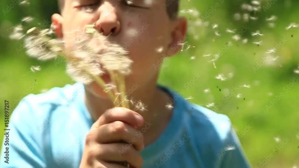 Little boy in a striped T-shirt blowing a dandelion.Spring, sunny weather. Video Little boy in a striped T-shirt blowing a dandelion.Spring, sunny weather. Video