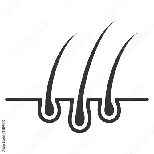 Hair bulb