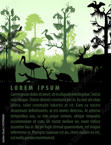 vector rainforest wetland silhouettes in sunset design template with heron, deer, gator, ibis. turtle, kingficher and cormorant