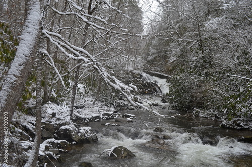 Mountain stream in the woods during winter with snow capped trees