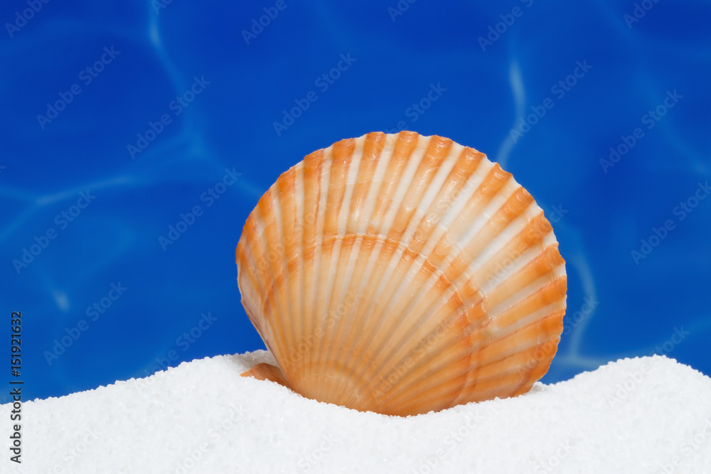 Summer background Summer background