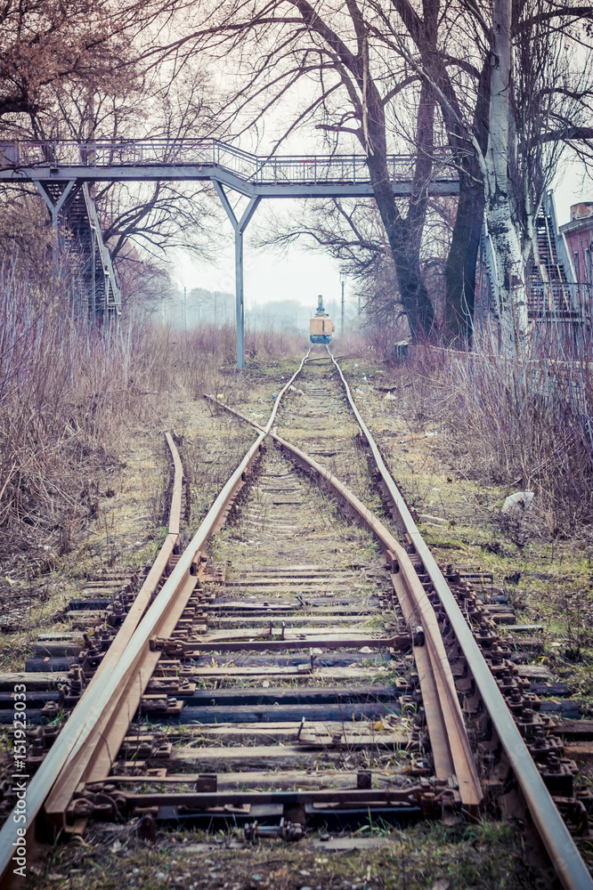 A railway fork and rubbish along the rail