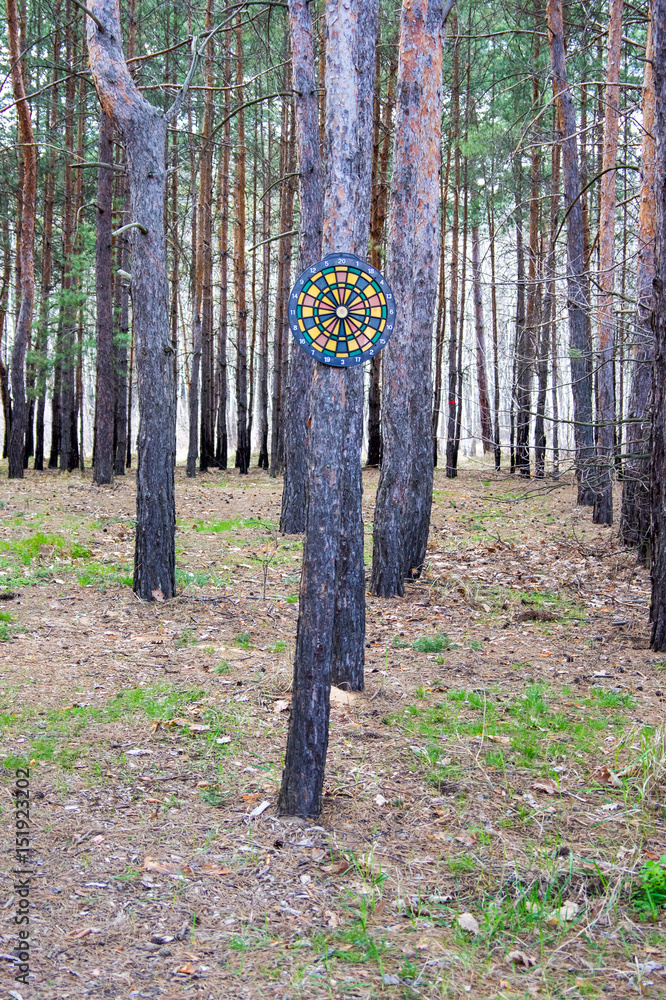 Darts on the tree in the forest Darts on the tree in the forest