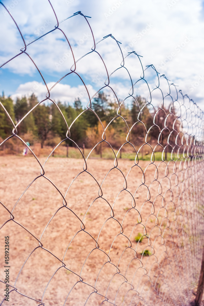 The garden and the pine forest behind the mesh fence The garden and the pine forest behind the mesh fence