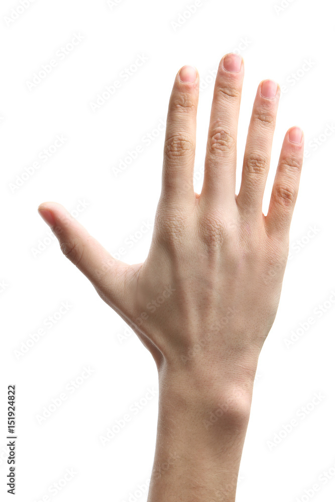 Male hand on white background Male hand on white background