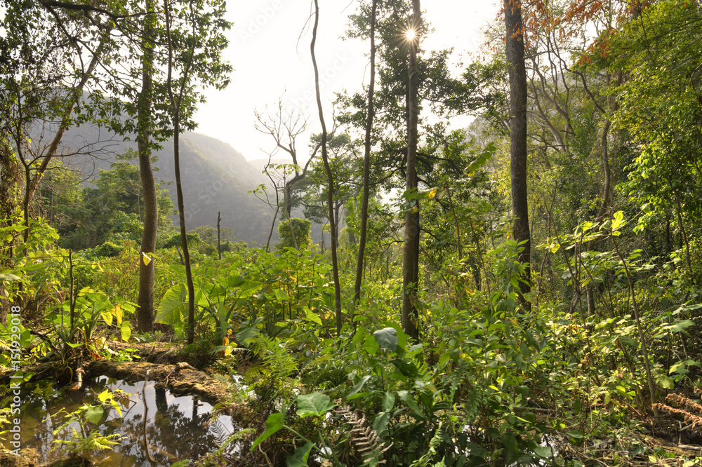 Afternoon sun illuminating rugged jungle landscape in Chiapas, Mexico Afternoon sun illuminating rugged jungle landscape in Chiapas, Mexico